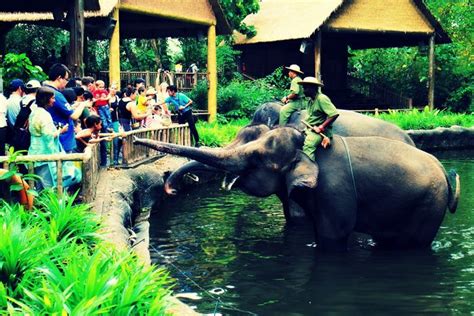best zoo in asia|THE 10 BEST Asia Zoos (Updated 2024) .